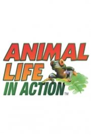 Animal Life in Action