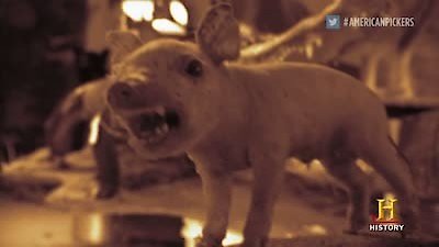 American Pickers Season 6 Episode 10