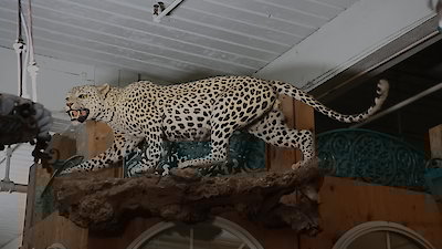 American Pickers Season 24 Episode 17