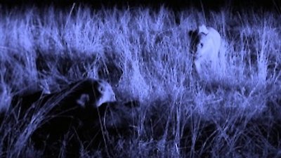 Africa's Predator Zones Season 1 Episode 1