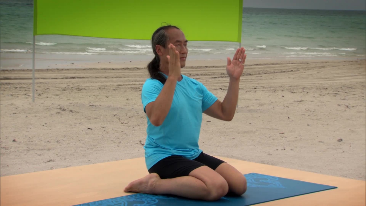 Gaiam: Rodney Yee Best of Yoga