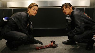 Bones Season 4 Episode 6