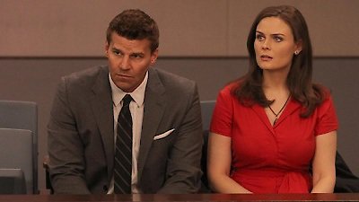 Bones Season 7 Episode 13