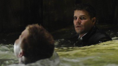 Bones Season 4 Episode 14