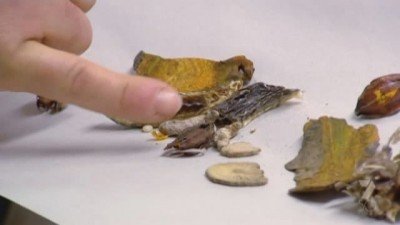 Border Security: Australia's Front Line Season 8 Episode 2