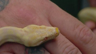 Border Security: Australia's Front Line Season 8 Episode 8