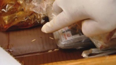 Border Security: Australia's Front Line Season 8 Episode 16