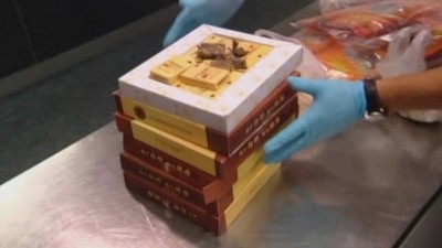 Border Security: Australia's Front Line Season 9 Episode 17