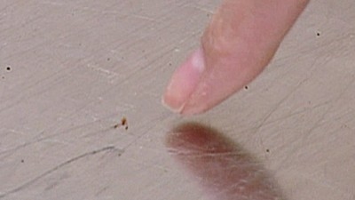 Border Security: Australia's Front Line Season 9 Episode 15