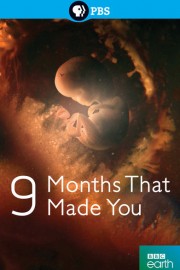 The Nine Months That Made You
