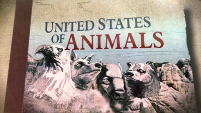 Watch United States of Animals Season 1 Episode 11 - The West Sting ...
