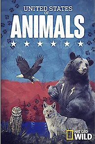 United States of Animals