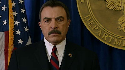 Blue Bloods en Español Season 3 Episode 15