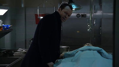 Blue Bloods en Español Season 4 Episode 18