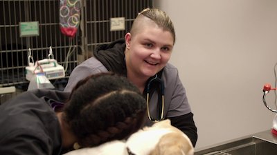 The Vet Life Season 4 Episode 5