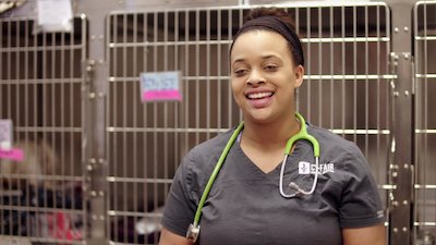 The Vet Life Season 4 Episode 6