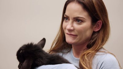 The Vet Life Season 4 Episode 8