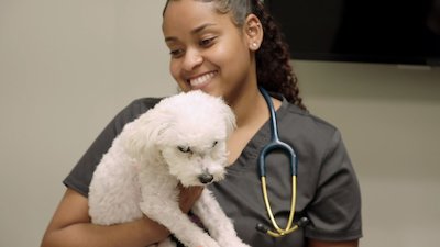 The Vet Life Season 5 Episode 1