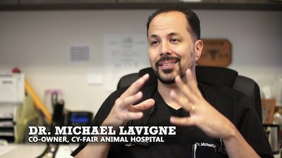 The Vet Life Season 5 Episode 5