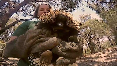 72 Cutest Animals Season 1 Episode 3