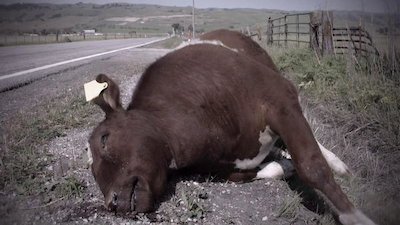 Mysteries at the Monument Season 4 Episode 8