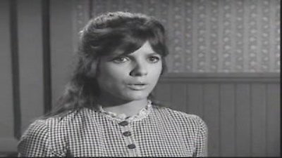 Watch Gunsmoke Season 10 Episode 27 - The Lady Online Now