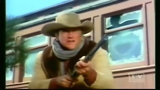 Watch Gunsmoke Season 16 Episode 7 - Snow Train (2) Online Now