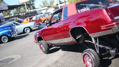 Driving Wild Season 1 Episode 2