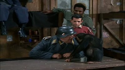 Hogan's Heroes Season 3 Episode 29