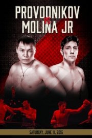 Showtime Championship Boxing: Provodnikov vs. Molina Jr.