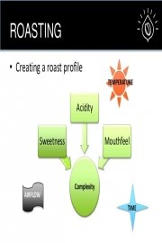 Roast Profile Development