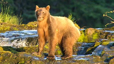 Homestead Rescue Season 12 Episode 10