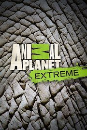 Animal Planet Investigates