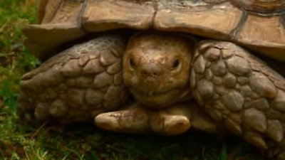 Lone Star Law Season 6 Episode 1