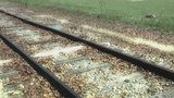 Railway Killer