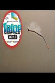 The Triops Diaries