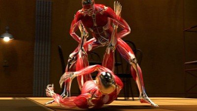 Fight Science Season 1 Episode 6