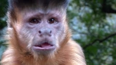 Rev Runs Around the World Season 1 Episode 15