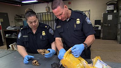 Border Security: Canada's Front Line Season 1 Episode 1