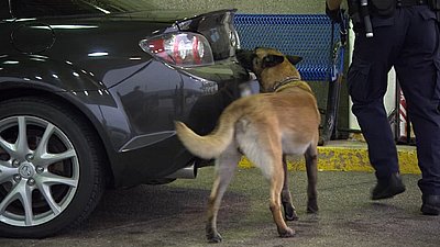 Border Security: Canada's Front Line Season 1 Episode 2