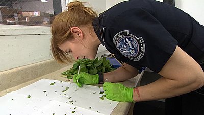 Border Security: Canada's Front Line Season 1 Episode 4