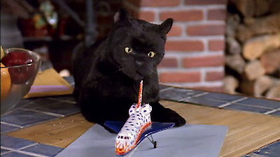 Sabrina, the Teenage Witch Season 3 Episode 9