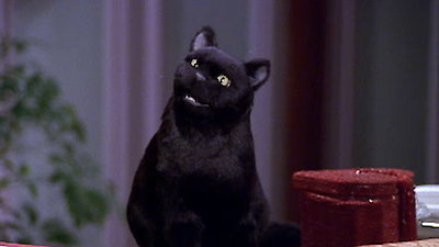 Watch Sabrina, the Teenage Witch Season 4 Episode 16 - Welcome Back ...