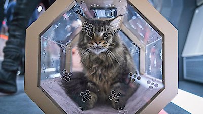 Star Trek: Discovery Season 4 Episode 6