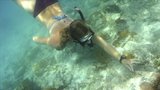 Secret Paradises