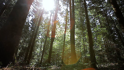 Dropped Season 7 Episode 9