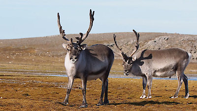 Dropped Season 5 Episode 6