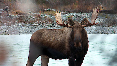 Dropped Season 5 Episode 3