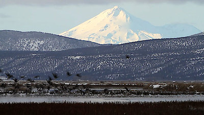 Dropped Season 5 Episode 9