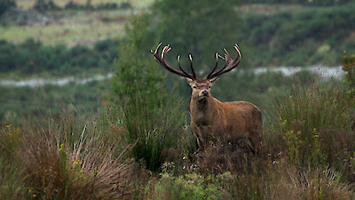 Dropped Season 6 Episode 1